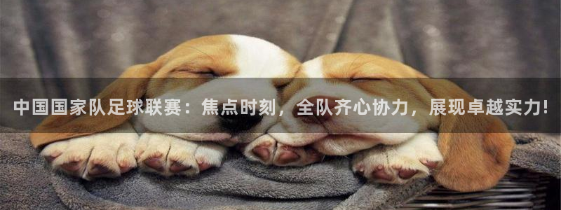 中国国家队足球联赛：焦点时刻，全队齐心协力，展现卓越实力!