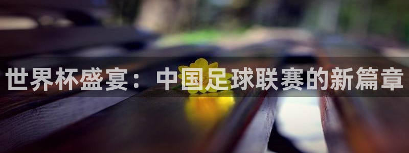  世界杯盛宴：中国足球联赛的新篇章