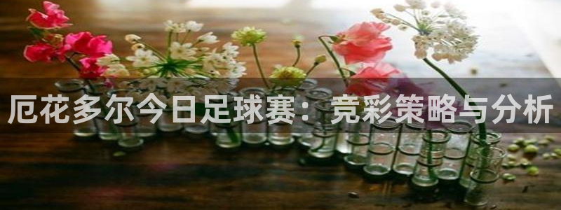  厄花多尔今日足球赛：竞彩策略与分析