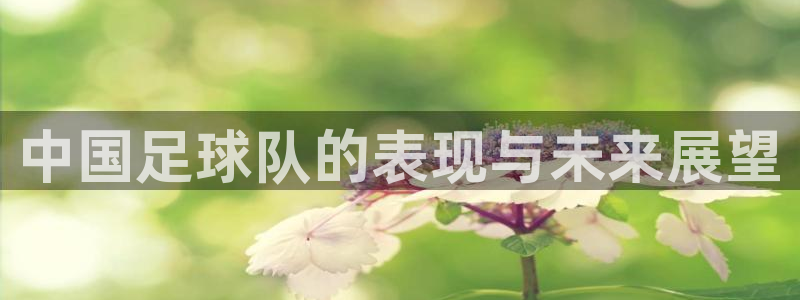 中国足球队的表现与未来展望