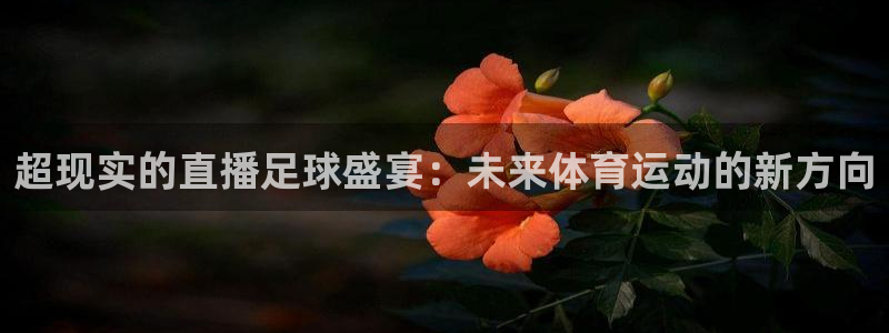 超现实的直播足球盛宴：未来体育运动的新方向