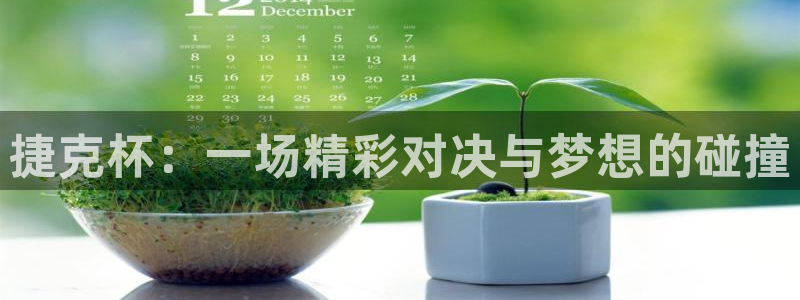 捷克杯：一场精彩对决与梦想的碰撞