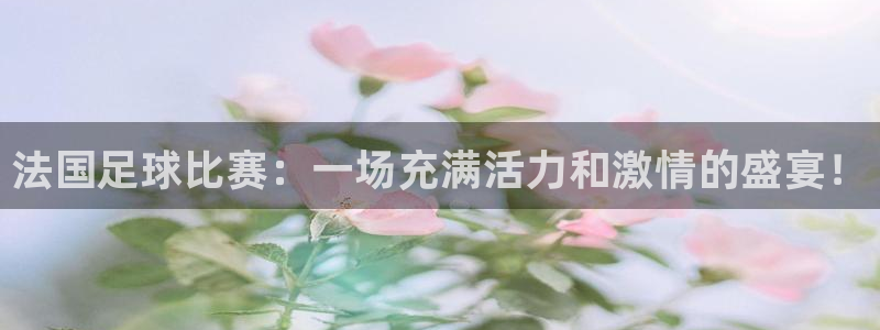 法国足球比赛：一场充满活力和激情的盛宴！