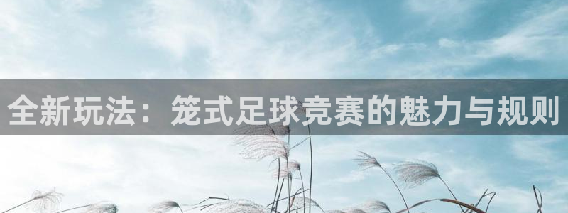  全新玩法：笼式足球竞赛的魅力与规则