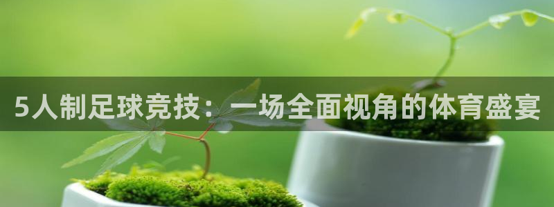  5人制足球竞技：一场全面视角的体育盛宴