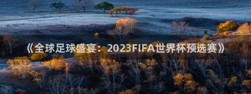  《全球足球盛宴：2023FIFA世界杯预选赛》