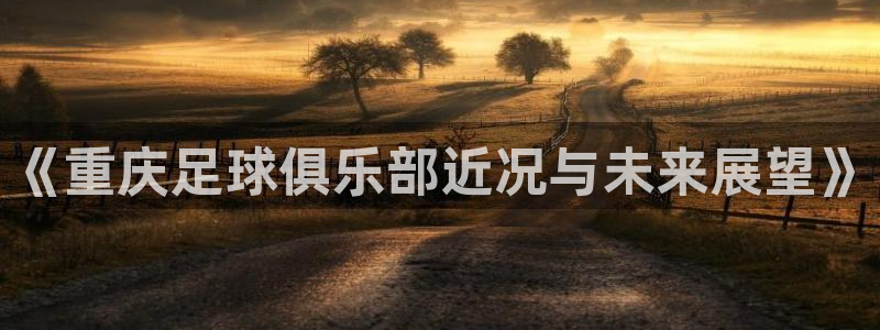 《重庆足球俱乐部近况与未来展望》
