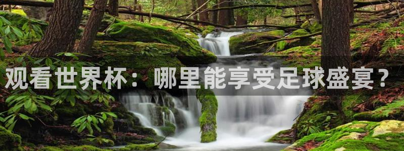 观看世界杯：哪里能享受足球盛宴？