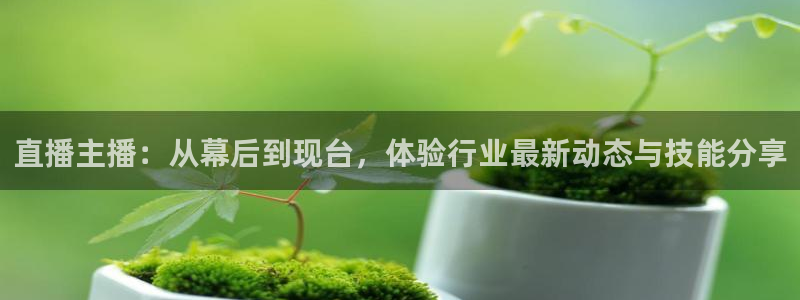 nba雨燕体育直播在哪看：直播主播：从幕后到现台，体验行业最新动态与技能分享