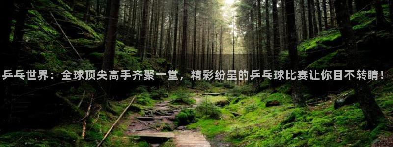 雨燕360体育免费直播cba：乒乓世界：全球顶尖高手齐聚一堂，精彩纷呈的乒乓球比赛让你目不转睛！
