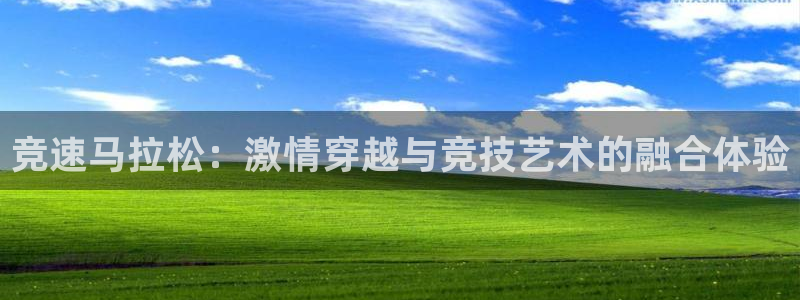 雨燕免费高清体育直播：竞速马拉松：激情穿越与竞技艺术的融合体验