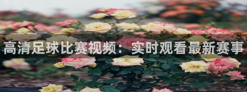 高清足球比赛视频：实时观看最新赛事