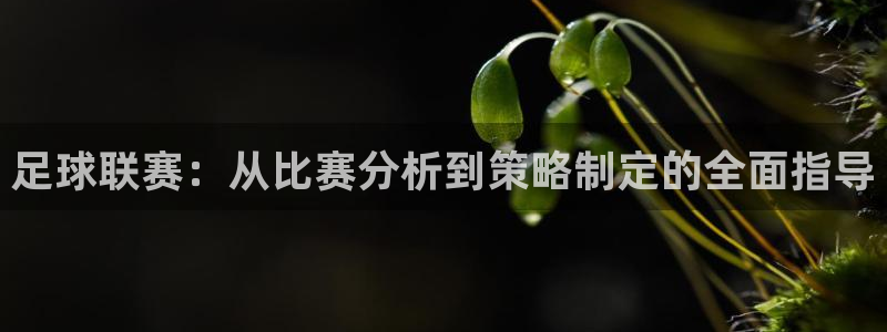 足球联赛：从比赛分析到策略制定的全面