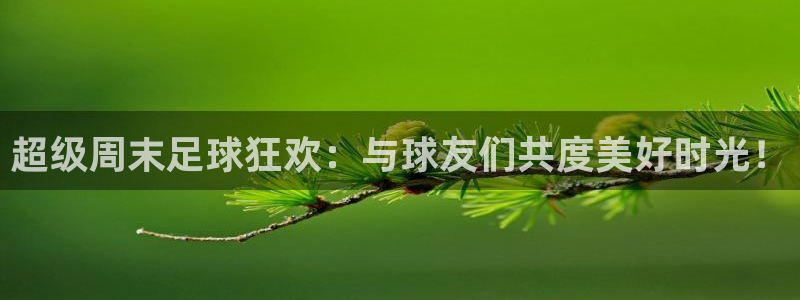 超级周末足球狂欢：与球友们共度美好时