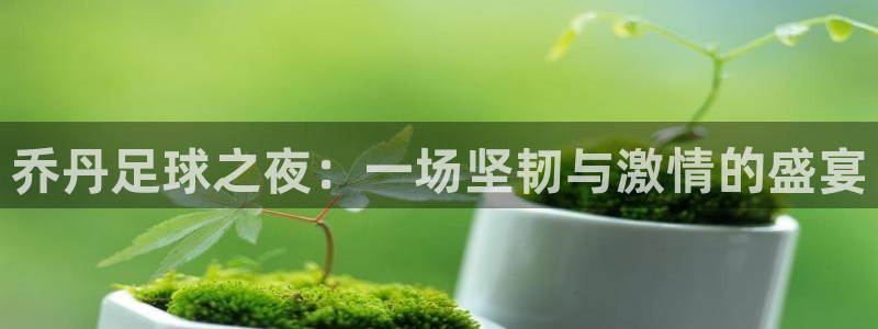 乔丹足球之夜：一场坚韧与激情的盛宴