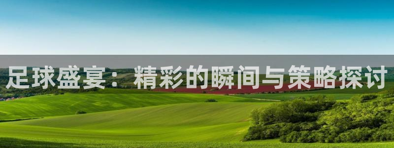 足球盛宴：精彩的瞬间与策略探讨