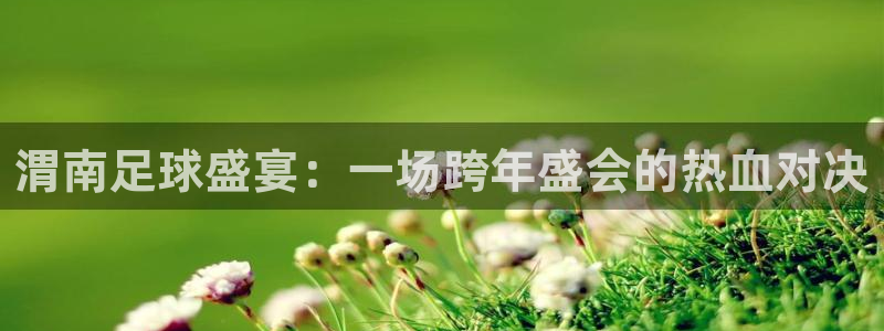 渭南足球盛宴：一场跨年盛会的热血对决