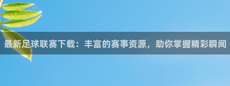 最新足球联赛下载：丰富的赛事资源，助