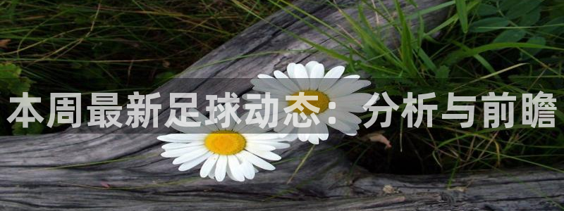 本周最新足球动态：分析与前瞻
