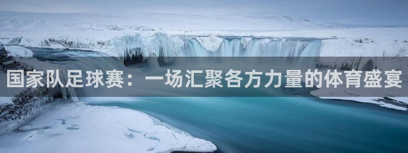 国家队足球赛：一场汇聚各方力量的体育