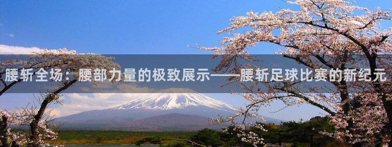 腰斩全场：腰部力量的极致展示——腰斩