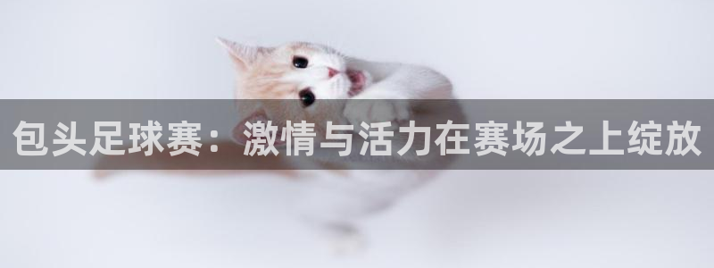 包头足球赛：激情与活力在赛场之上绽放