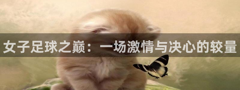 女子足球之巅：一场激情与决心的较量