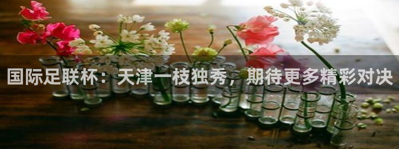 国际足联杯：天津一枝独秀，期待更多精