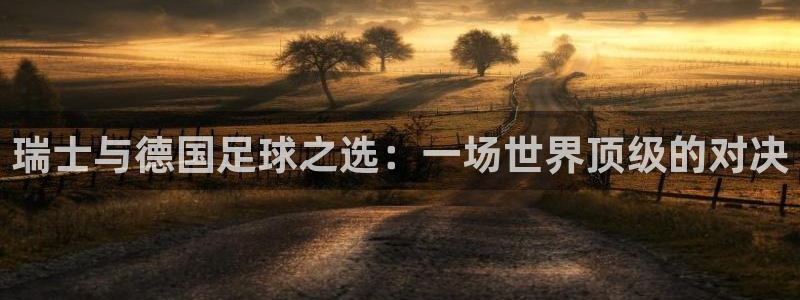 瑞士与德国足球之选：一场世界顶级的对