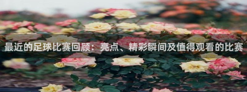 最近的足球比赛回顾：亮点、精彩瞬间及