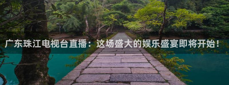 雨燕体育直播免费看：广东珠江电视台直播：这场盛大的娱乐盛宴即将开始！