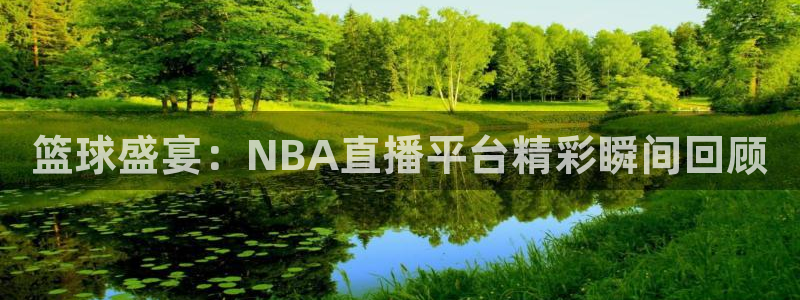 360足球直播赛事雨燕：篮球盛宴：NBA直播平台精彩瞬间回顾