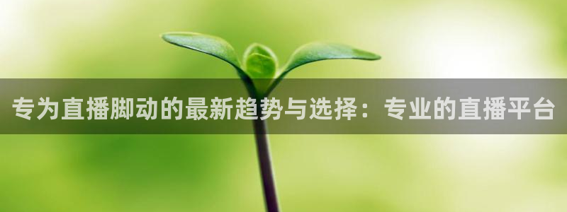 nba雨燕直播免费观看直播软件：专为直播脚动的最新趋势与选择：专业的直播平台