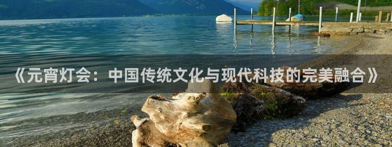 360足球雨燕现场直播：《元宵灯会：中国传统文化与现代科技的完美融合》