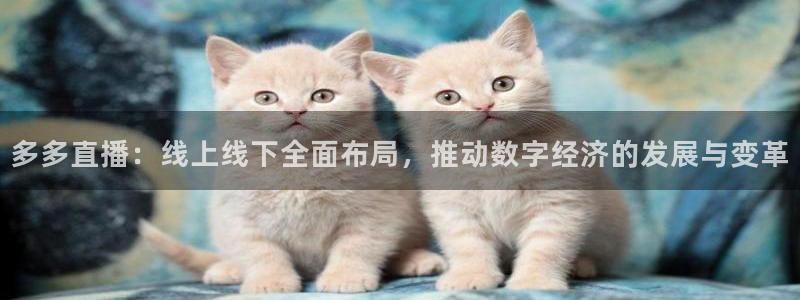 雨燕体育直播高清nba：多多直播：线上线下全面布局，推动数字经济的发展与变革