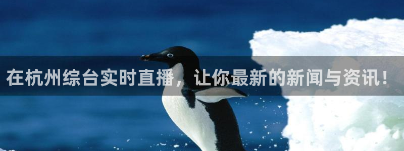 雨燕体育直播免费高清无插件：在杭州综台实时直播，让你最新的新闻与资讯！
